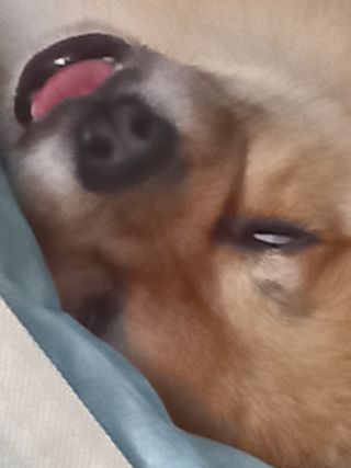 /u/tVr4jsxTiddwQSPtJPQuQ0mU1L43/images/1755440650962_a39f39d9-4edf-41a9-a01f-c65a3be54dbd.jpg