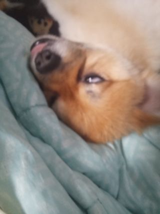 /u/tVr4jsxTiddwQSPtJPQuQ0mU1L43/images/1755440724485_ec109b7d-b8c2-4b26-b383-20062312d5f2.jpg