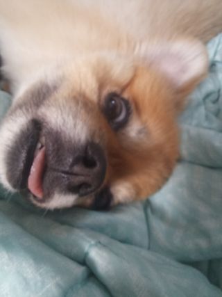 /u/tVr4jsxTiddwQSPtJPQuQ0mU1L43/images/1755440734014_a0c4604b-3e7a-4371-a347-f3b515d8bb47.jpg