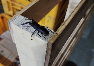 /u/tVr4jsxTiddwQSPtJPQuQ0mU1L43/images/1755616606082_7ccd4ed4-d9ae-40c7-b038-c719d5b343fe.jpg