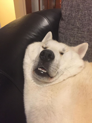 /u/uiaY22f3oWOJ6je4bfblwlLQ5sq2/images/1767712729002_f8fcab56-9746-4d1c-8f71-6fca94b6124c