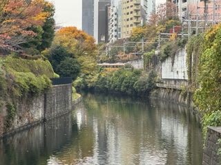 /u/uiaY22f3oWOJ6je4bfblwlLQ5sq2/images/1767713528083_caa3ff13-3665-461c-93a0-b823d64f3060.JPG