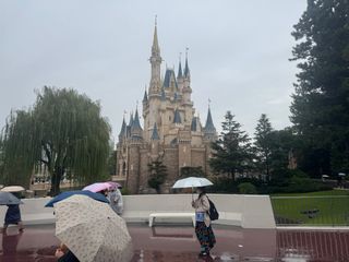 /u/uiaY22f3oWOJ6je4bfblwlLQ5sq2/images/1769344509631_423785a3-2803-4f51-94c8-03d081b49892.JPG