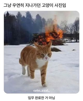 /u/vLrReGc9pKf0Jl1NPHFD8WTLj213/images/1754031416764_88c34a65-aee1-4a8c-969d-90a3ae3782f4.jpg