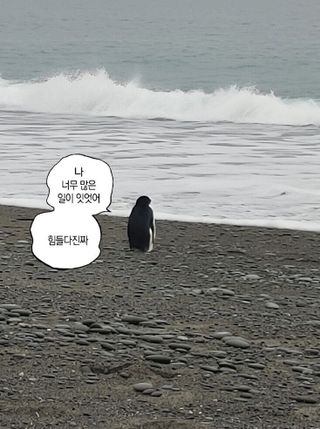 (EW) 수악한 서부 3부 (시청자 시점)