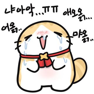 tmi 근황톸