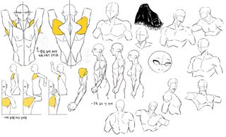 /u/ysgk0zTNdRZevzENqL6zRwm1UFq1/images/1767366432420_10889db3-d668-42eb-87d0-f232d86aebb4.jpg
