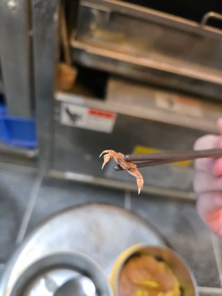 /u/yxm5qfB7fRXZHKWJJqaCfS17iu62/images/1778299228358_1e218fa9-5f49-48cc-aaf2-2a9ba679301b.jpg