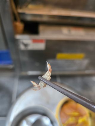 /u/yxm5qfB7fRXZHKWJJqaCfS17iu62/images/1778299228360_f1602423-8412-4727-975b-2bd5e4ea03ee.jpg
