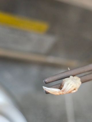 /u/yxm5qfB7fRXZHKWJJqaCfS17iu62/images/1778299412667_3732e056-932b-4527-9d27-25d34da268e7.jpg