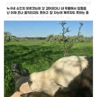 /u/yzl6dAGltjSv0FJLsZyakVUSXZs1/images/1775389584761_d13d670b-9075-40af-939e-75e44b53f899.webp