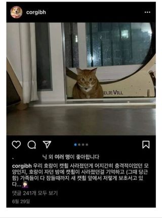 /u/yzl6dAGltjSv0FJLsZyakVUSXZs1/images/1775822105078_36c79701-ecc9-4059-8a4f-fa0c39b639d4.jpg