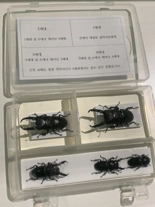 /u/yzl6dAGltjSv0FJLsZyakVUSXZs1/images/1775908619831_fa323212-d4f0-4727-89a8-514ee6d66a32.webp