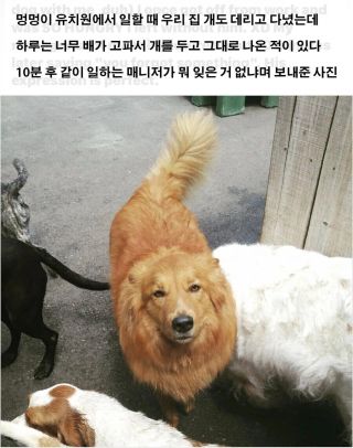 /u/yzl6dAGltjSv0FJLsZyakVUSXZs1/images/1776757880522_6d77ec98-25a1-4471-9d17-41a46c663180.webp