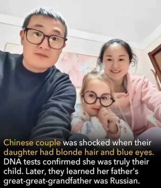 /u/yzl6dAGltjSv0FJLsZyakVUSXZs1/images/1776903675379_909f3f5b-5be1-47f3-a51d-9a568d5f55c3.webp