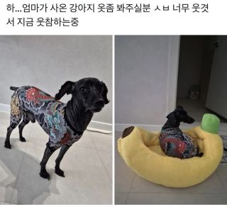 /u/yzl6dAGltjSv0FJLsZyakVUSXZs1/images/1777116228633_0b19fd51-41dc-4501-93f9-371d2091a2ba.webp