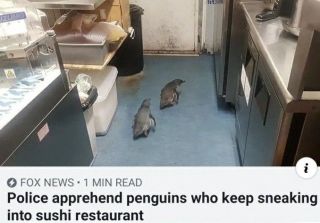 /u/yzl6dAGltjSv0FJLsZyakVUSXZs1/images/1779090937767_f24c61c9-a7a6-457a-9c38-591a4de91bf5.webp