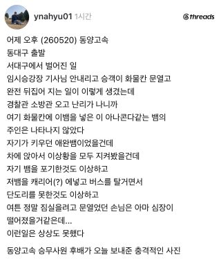 서대구 승강장 버스 화물칸에서 뱀이 튀어나왔다는 소식