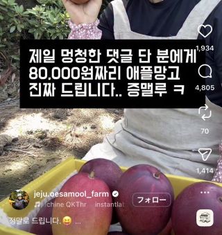 제일 멍청한 댓글을 단 사람에게 애플망고를 드립니다