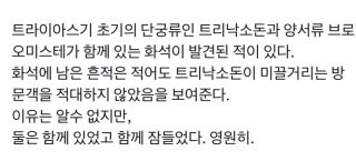 뭔가 되게 낭만적인 화석