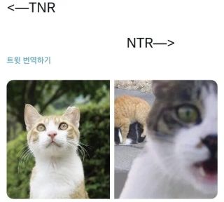 국가가 나서서 NTR 지원사업을 해야한다는 사람