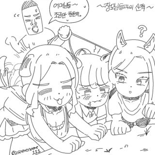 강아지 단모와 장모의 차이