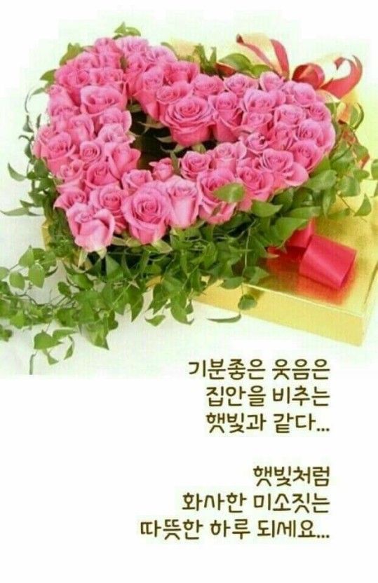 댓글 이미지