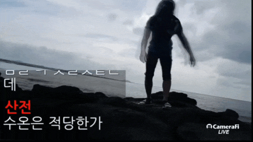 댓글 이미지