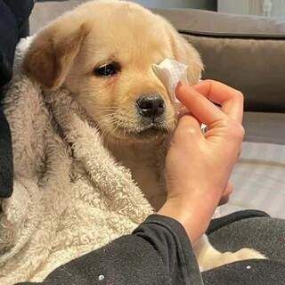 댓글 이미지