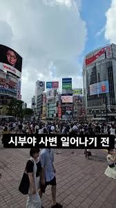 댓글 이미지